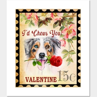 Australian shepherd (Aussie) Vintage Valentine Funny Dog With Rose Posters and Art